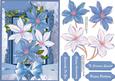 Beautiful Clematis in Blue and Cream