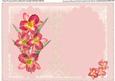 Salmon Pink Orchids ( Incert )
