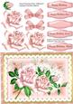 Beautiful Pink Roses on a Scolloped Frame