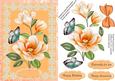 Beautiful Orange Magnolias in a Lace Frame