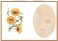 Lovely Yellow Poppys ( Incert)