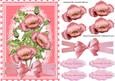 Lovely Pink Poppies