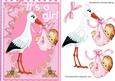 Lovely Stork with Baby Girl
