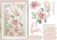 Lovely Magnolias and Lace