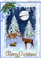 Beautifil Christmas Winter Scene