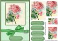 Beautiful Pink Roses on Green