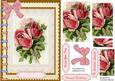 Lovely Book of Pink Roses . ( Pyramid )