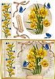 Lovely Spring Daffodills on Ivory Lace