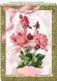 A4 Pink Roses in Stunning Gol Frame
