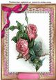 A4 Beautiful Roses Ina Ornate Frame with Stitching 