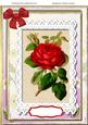 A4 Beautiful Roses on Battenburge Lace