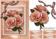 A5 Beautiful Apricot Roses on a Double Lace Frame