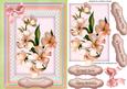 Lovely Pink Apple Blossom on Lace