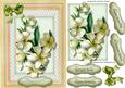 Lovely Cream Apple Blossom on Lace