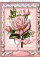 A4 Beautiful Pink Roses and Babys Breath
