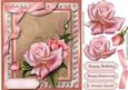 Stunning Pink Roses on Lace