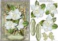 Lovely White Magnolias in a Ornate Frame