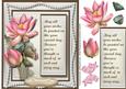 Beautiful Verses and Lotus Flowers