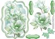 Lovely Brackey with Soft Green Magnolias