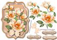 Lovely Bracket with Apricote Magnolias