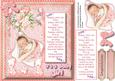 Baby Congratulations It's a Girl