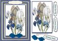 A5 Lovely White and Blue Irises