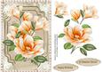 Beautiful Peach Magnolias with Pearls