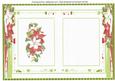 A5 Incert Christmas Poinsettia's