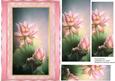 Beautiful Lotus Flowers in Pyramid