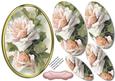 Lovely Creamy Pink Roses in a Oval Frame 
