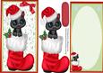 D.l Little Kitty in a Red Santa Booy with Incert