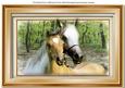 A4 Stunning Horses at the Fence