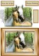 A5 Stunning Horses at the Fence