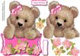Lovely Over the Edge Fuzzy Bear ( Girl )