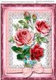 A4 Beautiful Roses for Anyone