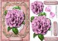Lovely Crushed Pink Camellia in a Ornate Scroll