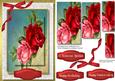Beautiful Red and Pink Rose on Lace