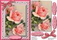 Stunning Peach Roses on Fine Lace