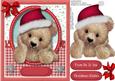 Darquise the Christmas Bear , Red