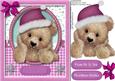 Darquise the Christmas Bear, Cerise