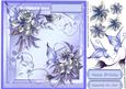 Beautiful Butterflies and Flowers / Lilac