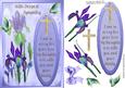 Beautiful Irises with Sympathy
