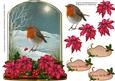 Beautiful Globe with Robin and Poinsettias