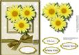 Beautiful Yellow Daisy's