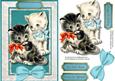 Beautiful Kitties on a Aqua Mat