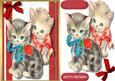 Cute Kittens . a Rose for My Love