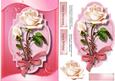 Beautiful Champagne Roses on a Pink Tag