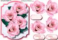 Beautiful Pink Roses on a Bracket Frame