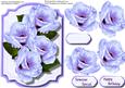 Beautiful Lilac Rose in a Bracket Frame