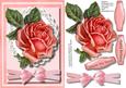 Beautiful Pink Roses on Lace